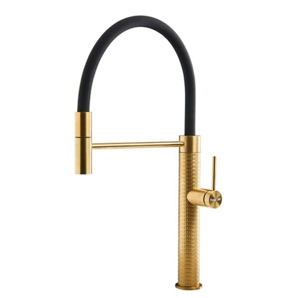 Foster Mixer Tap Flexible Head Skin Gold