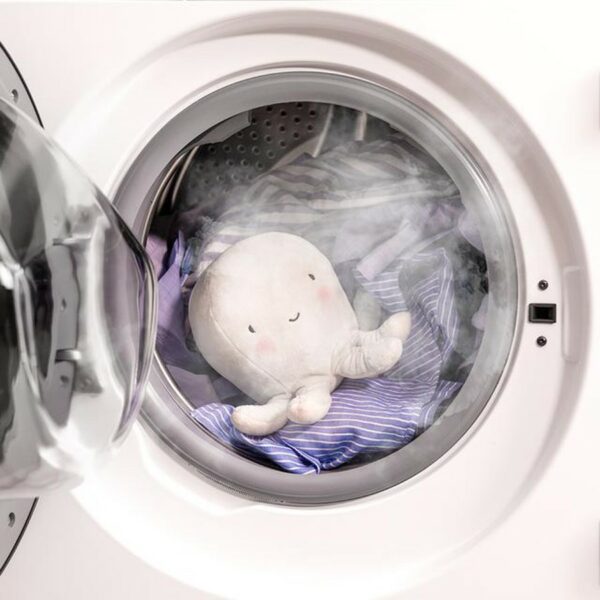 Cecotec 8kg Washing Machine Built-in